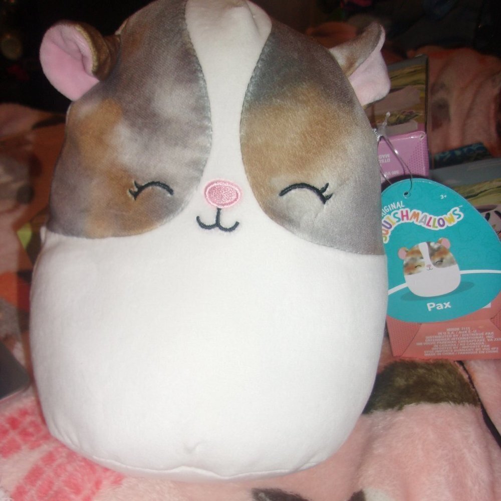 Pax the hamster squishmallow new